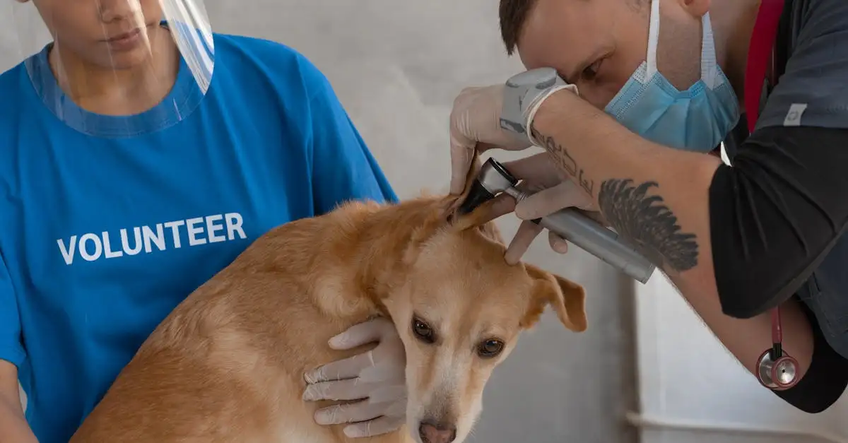 De dierenspecialist voor al uw huisdieren