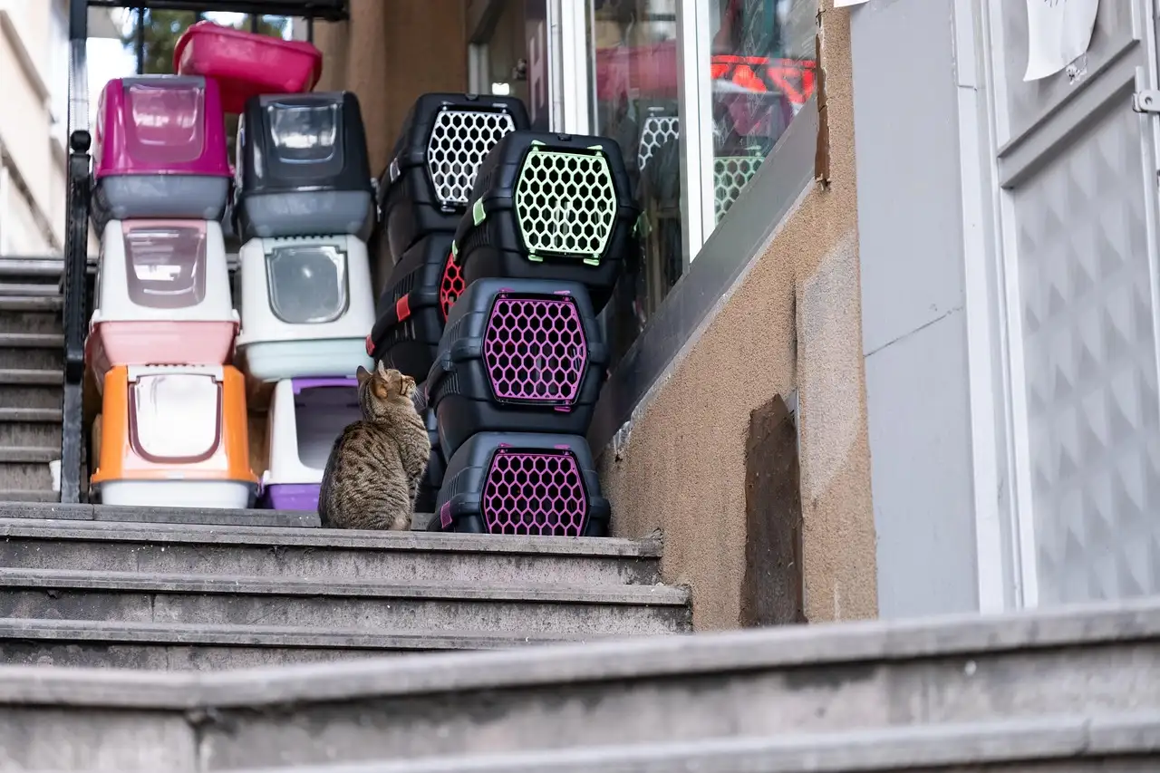 Dierenwinkel Eindhoven: Alles voor uw huisdier