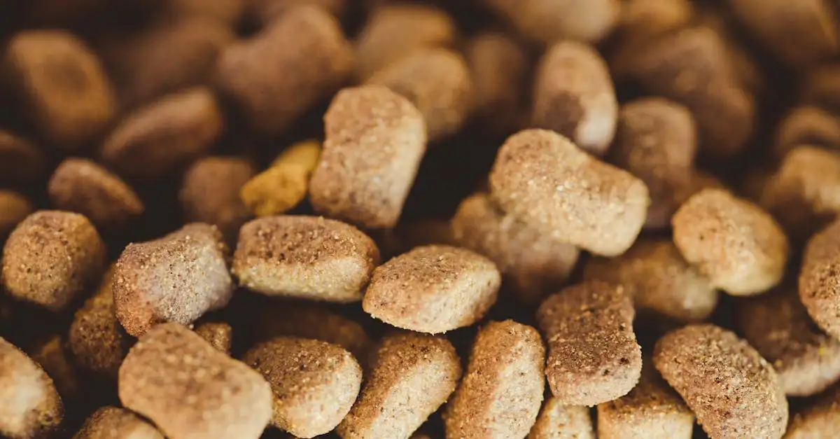 Goedkoop Royal Canin hondenvoer kopen en vergelijken