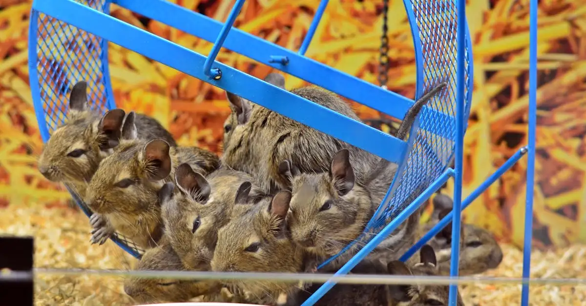 Grootste dierenspeciaalzaak van Nederland ontdekken