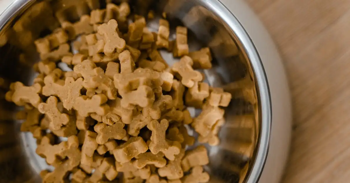 Hill’s dierenvoeding: Kwaliteit voor uw huisdier