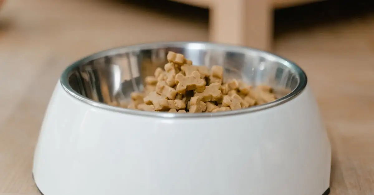 Honden en katten voer van hoge kwaliteit kopen