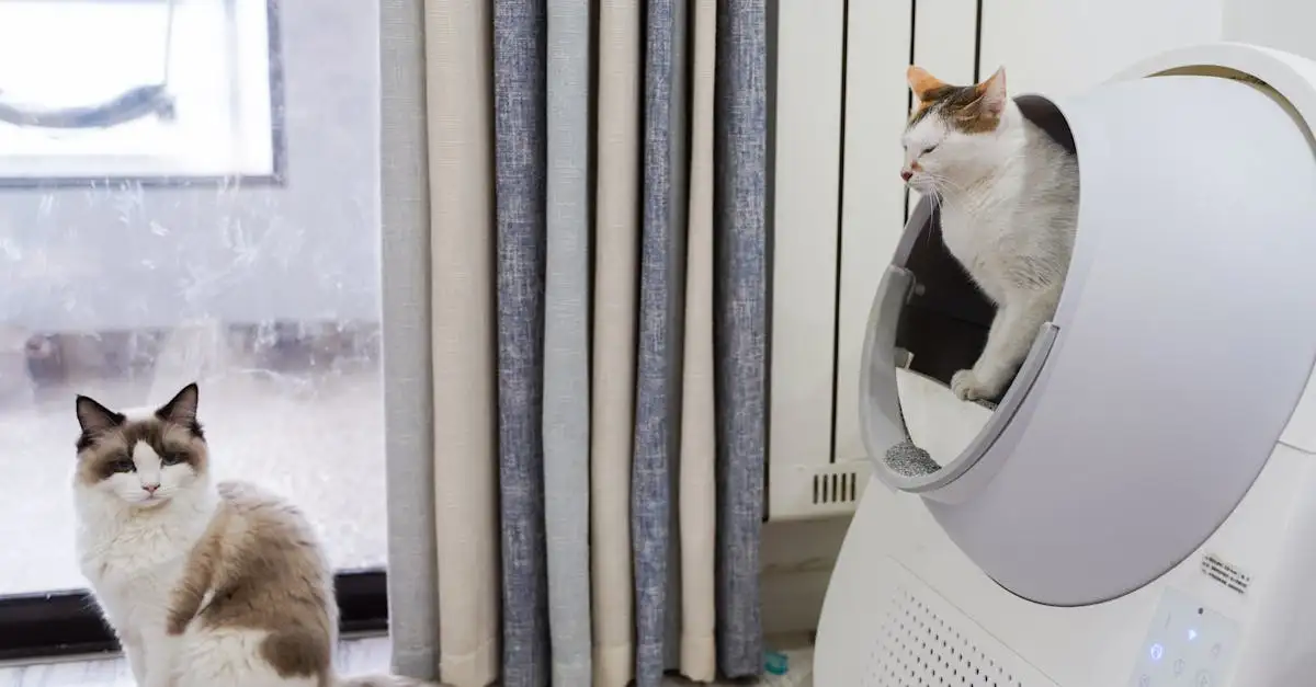 Kattenbak waar uw hond niet in kan komen