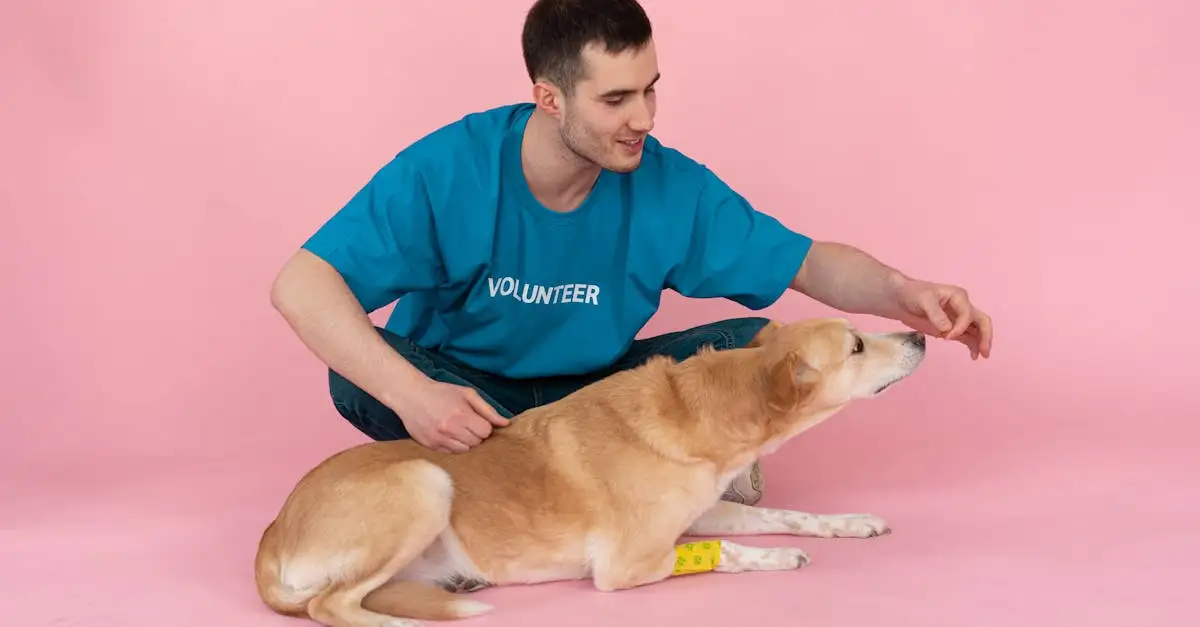 Mogen honden kip eten? Veiligheid en advies